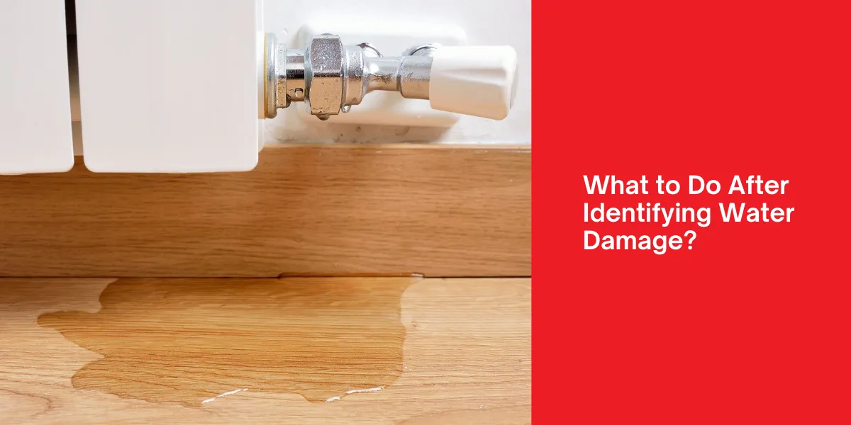 What to Do After Identifying Water Damage
