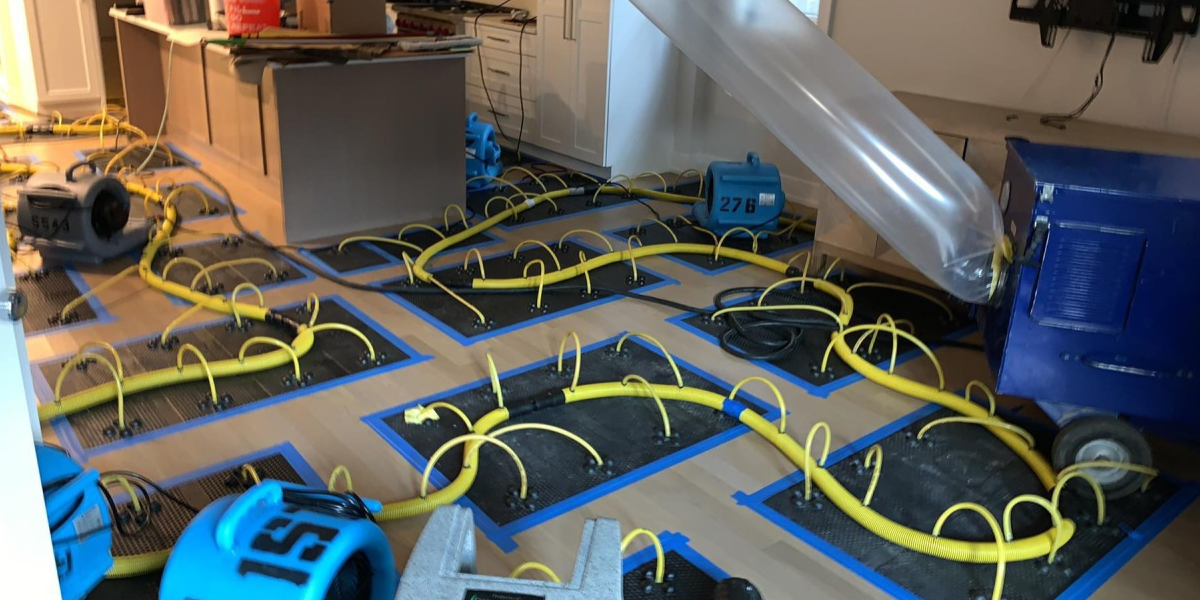 When Do You Need Water Mitigation When Do You Need Water Mitigation