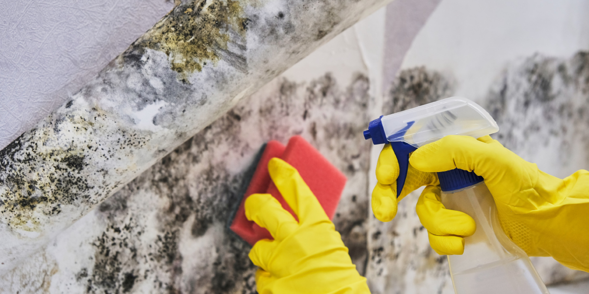 Bleach Safety Tips Bleach Safety Tips