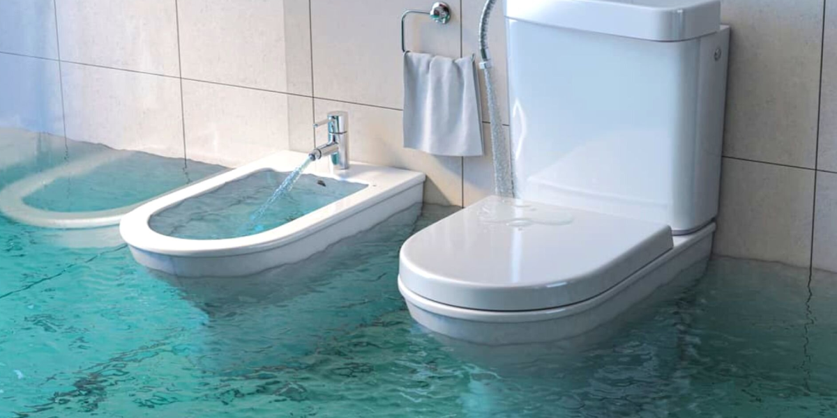 Overflowing Toilets Overflowing Toilets