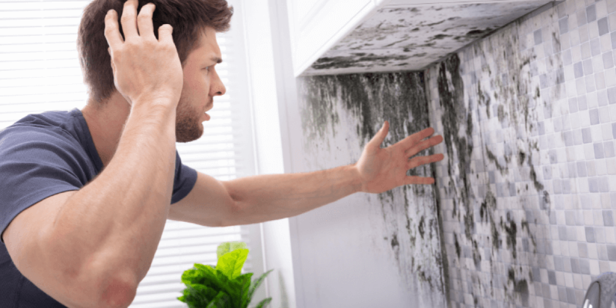 Why Mold Is a Big Problem Why Mold Is a Big Problem