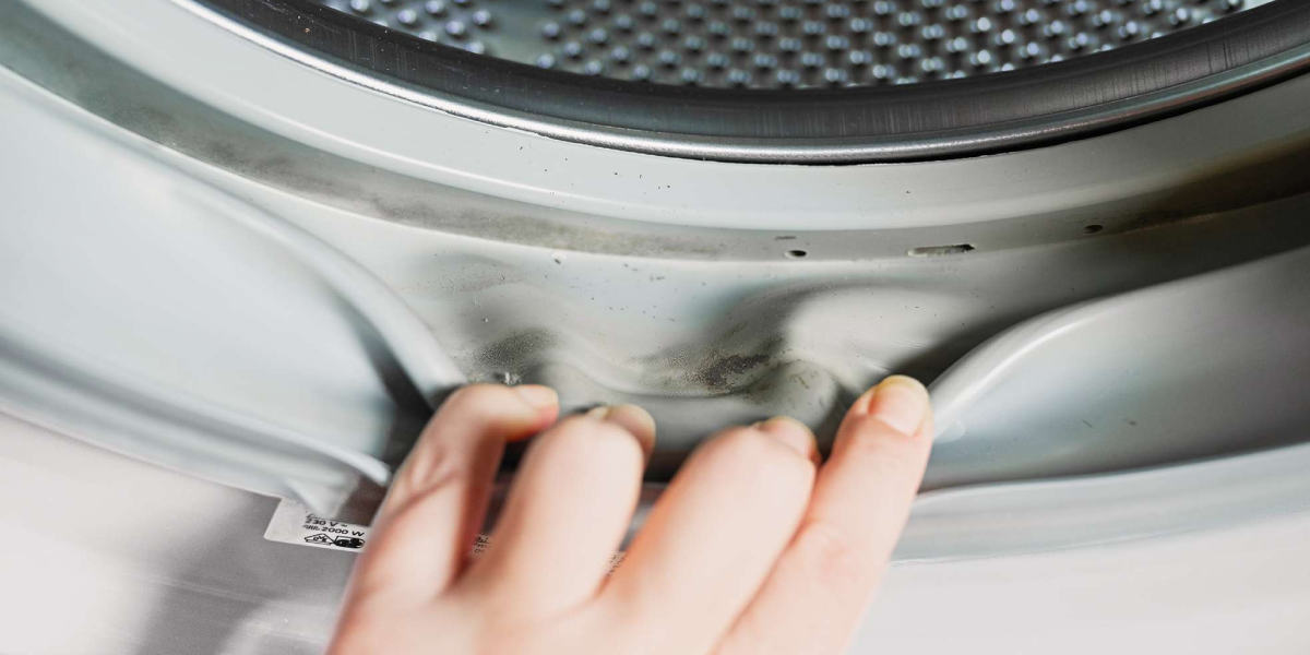 Why Does Mold Grow in Washing Machines Why Does Mold Grow in Washing Machines
